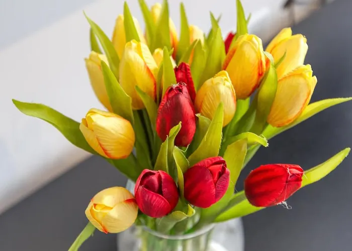 Plan Court Seaside In Qawra By 360 Estates Σεντ Πόλς Μπέι