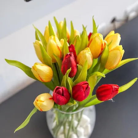 Plan Court Seaside In Qawra By 360 Estates 세인트폴스베이